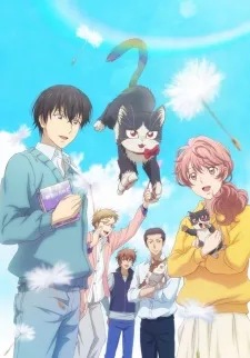Xem Phim Doukyonin wa Hiza, Tokidoki, Atama no Ue. Vietsub HD Online - Hoathinh.Org