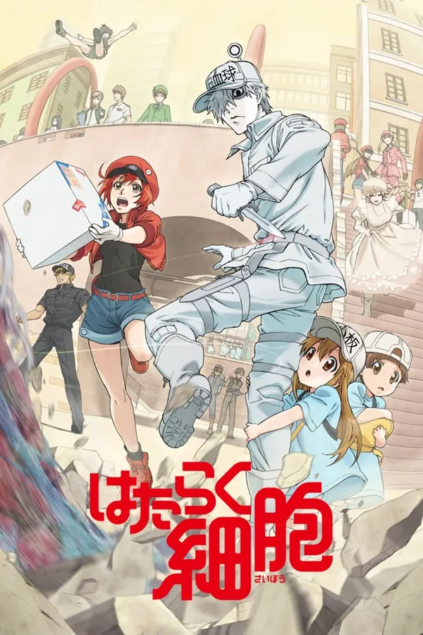 Xem Phim Hataraku Saibou Vietsub HD Online - Hoathinh.Org