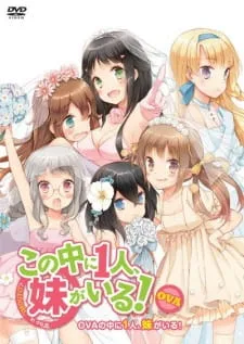 Xem Phim Kono Naka ni Hitori, Imouto ga Iru!: Ani, Imouto, Koibito Vietsub HD Online - Hoathinh.Org