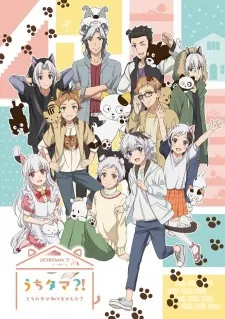 Xem Phim Uchi Tama?! Uchi no Tama Shirimasen ka? Vietsub HD Online - Hoathinh.Org